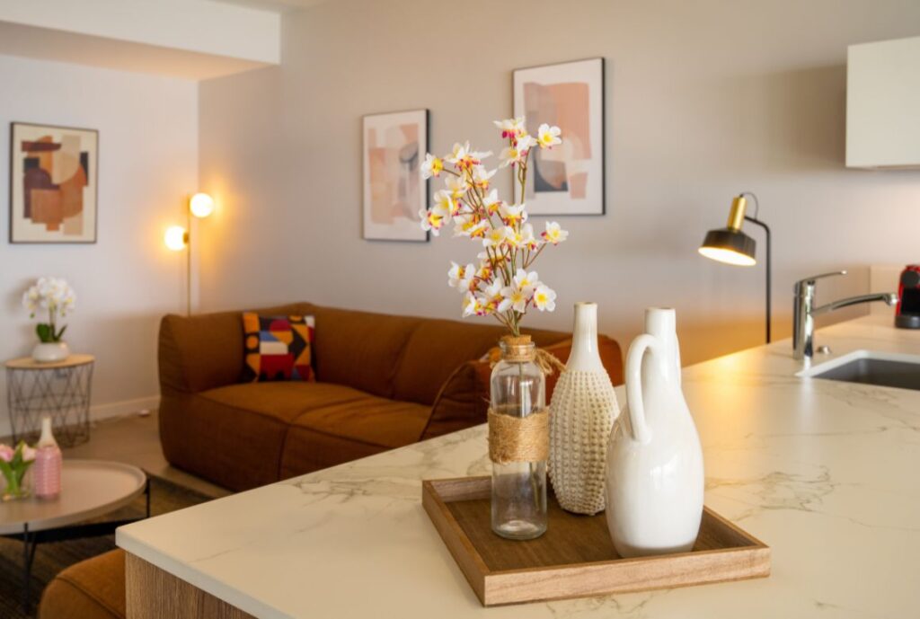 la cuisine américaine donne sur le salon