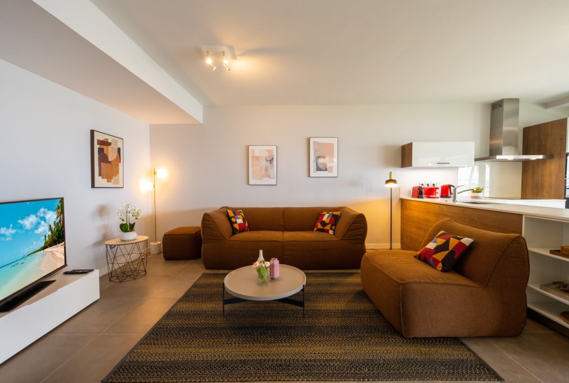 salon avec téléviseur grand écran