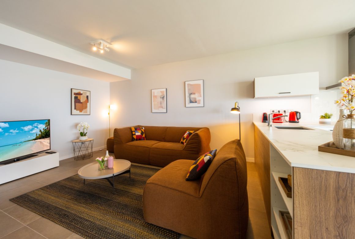 salon avec téléviseur grand écran