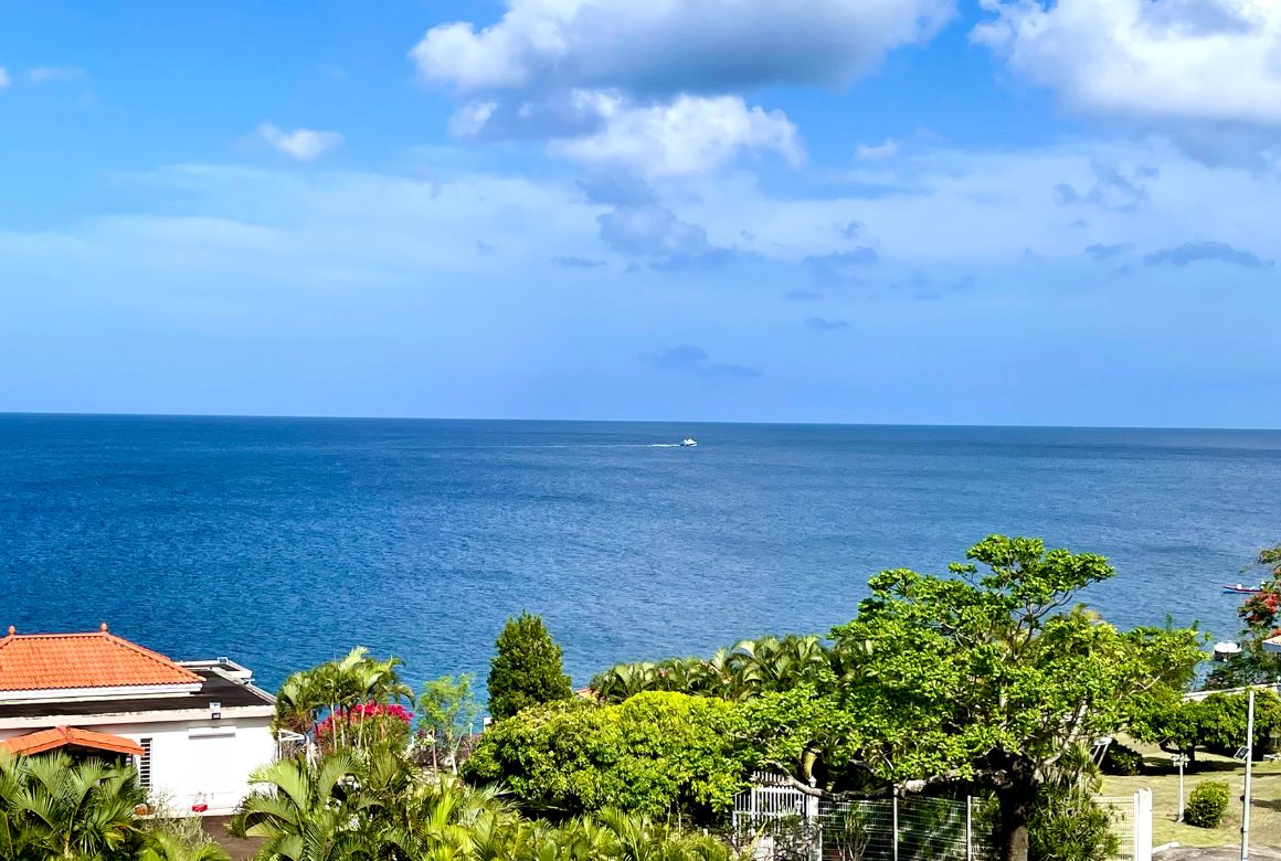 vue mer depuis la terrasse