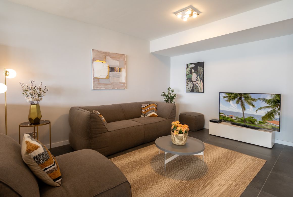 salon avec téléviseur grand écran