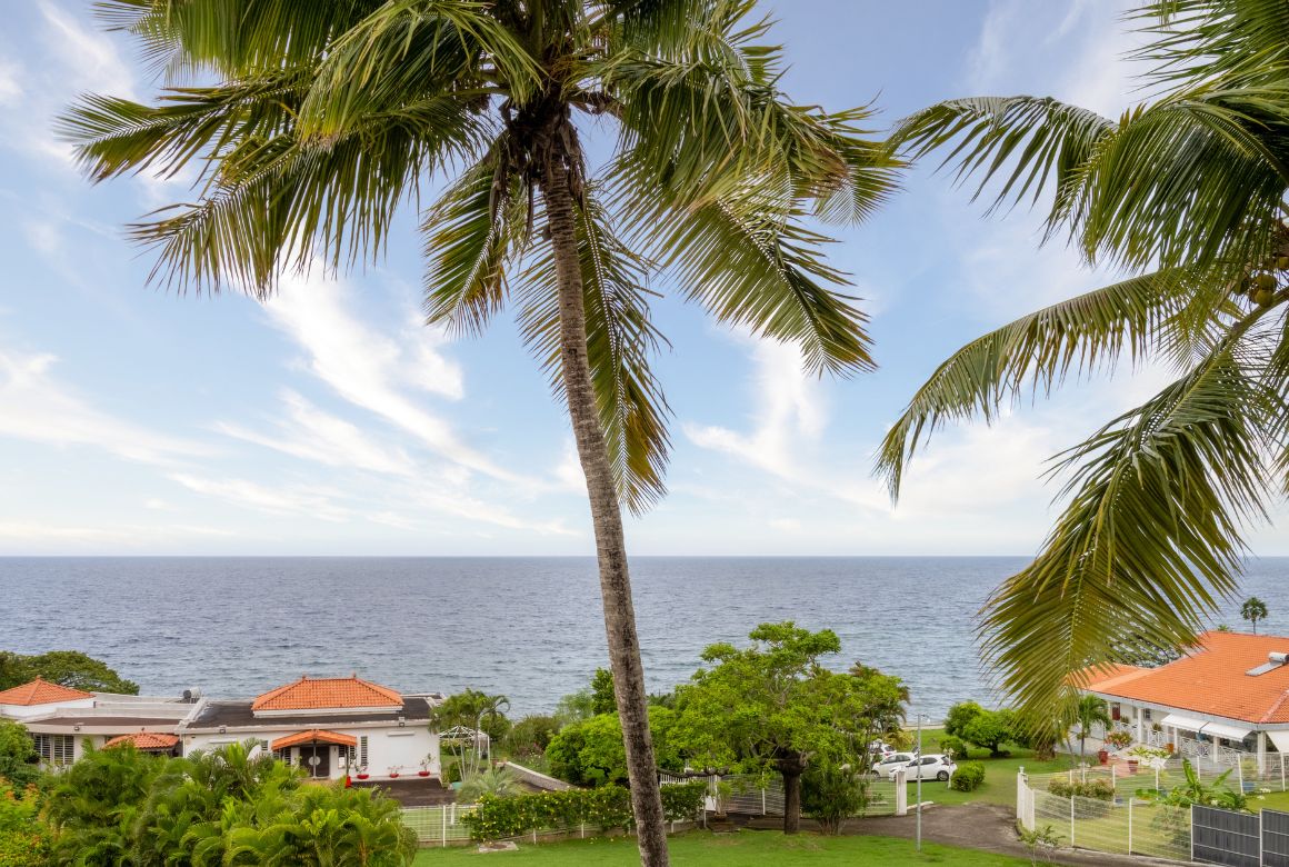 vue mer depuis la terrasse