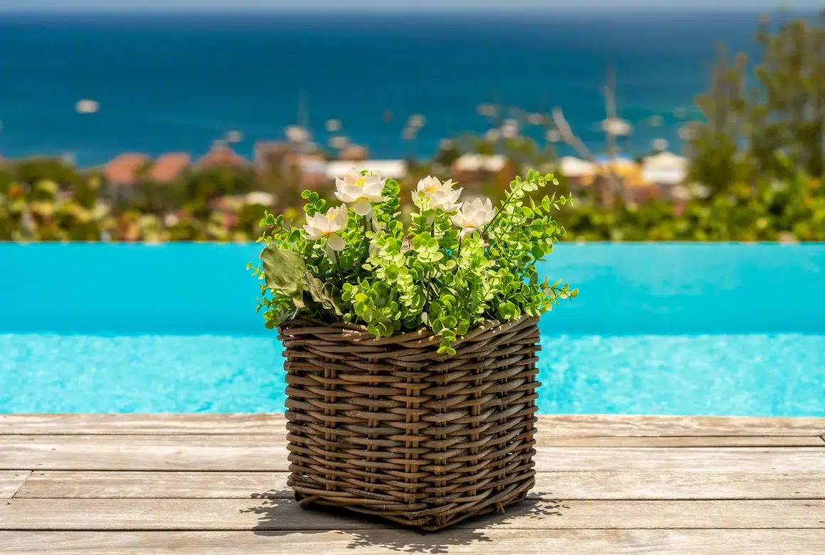 piscine avec vue mer