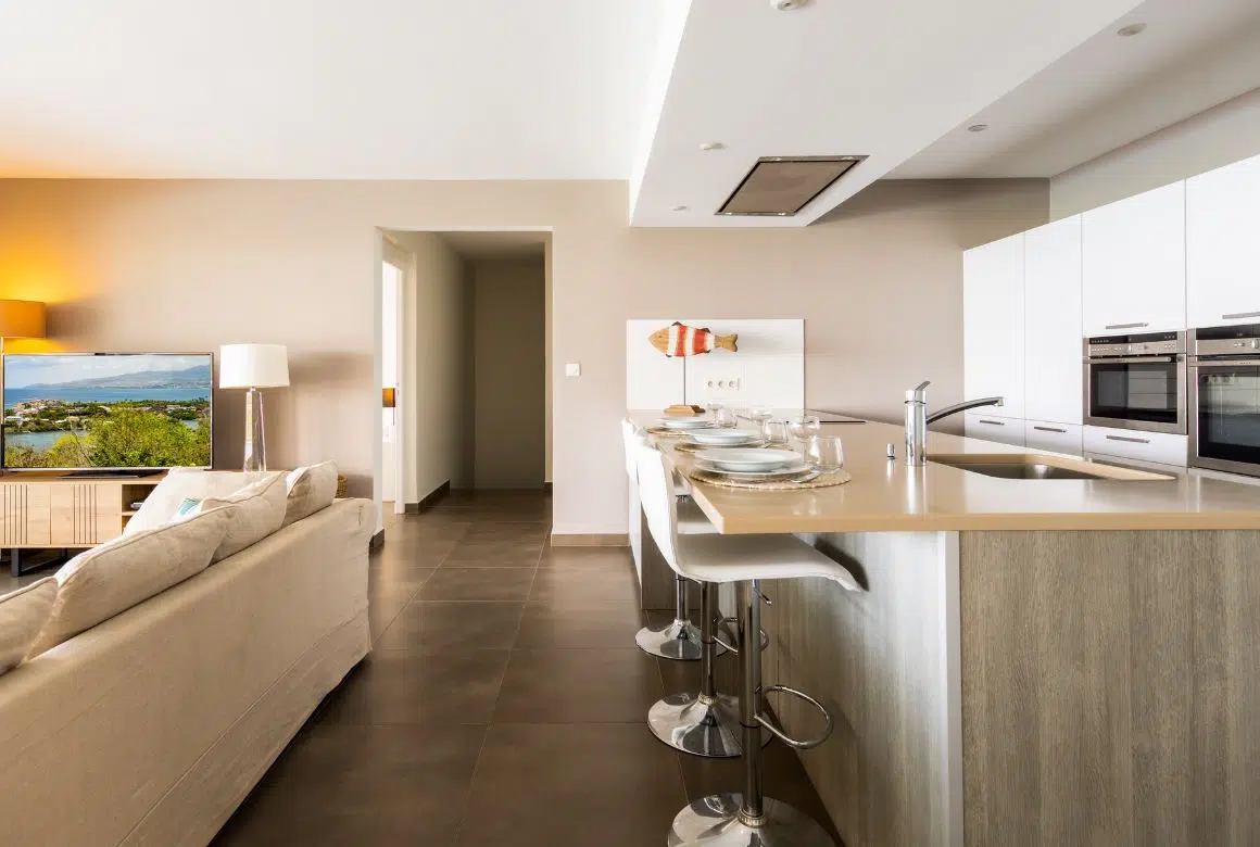 salon et cuisine américaine