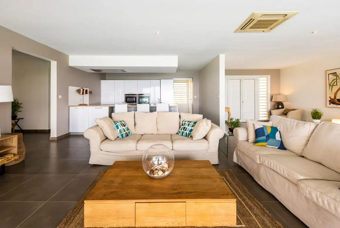 salon cosy et cuisine américaine