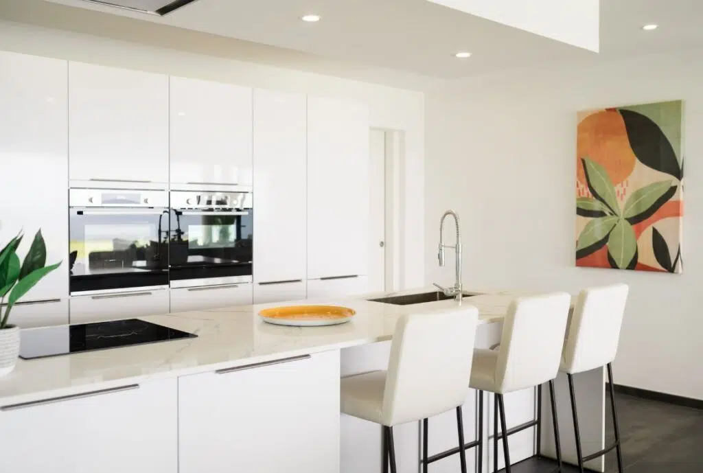 la cuisine est équipée d'éléments haut de gamme